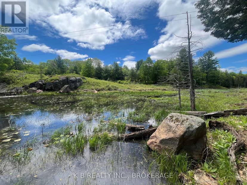 2970 Mountain Road — photo 7 of 18