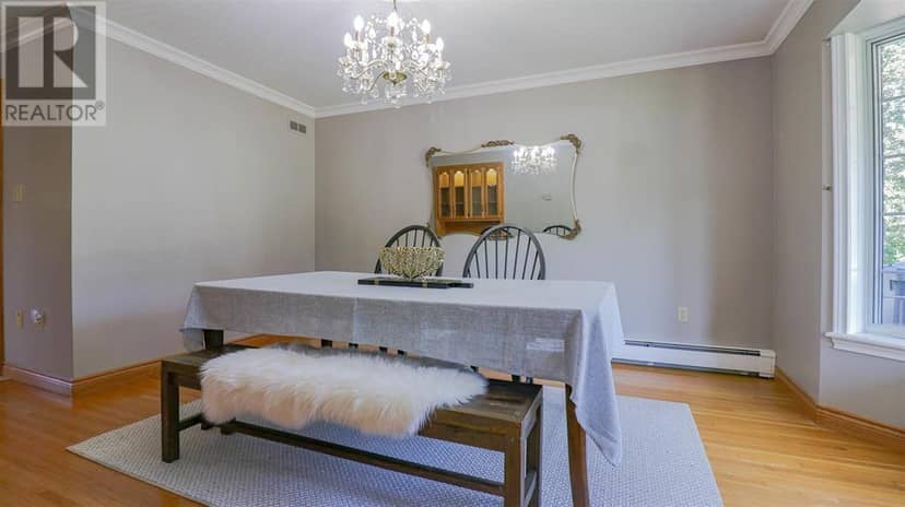 193 Mount Edward Road — photo 8 of 40