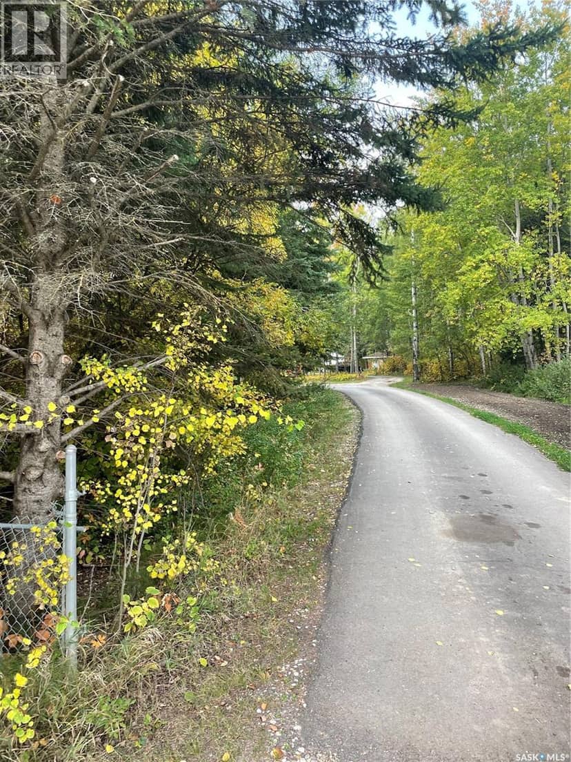 4.11 acres Wizewood Road, Hudson Bay Rm No. 394, photo 4