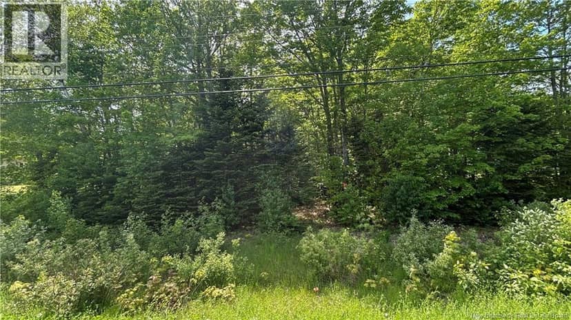 LOT Route 135 — photo 1 of 4