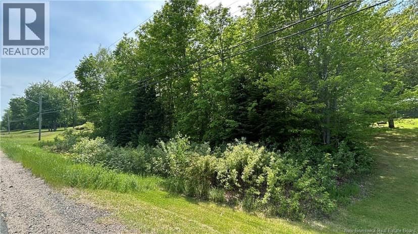 LOT Route 135 — photo 2 of 4