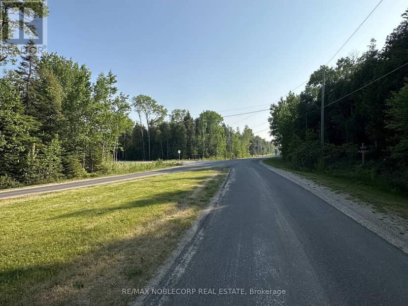 42 Trillium Crossing — photo 3 of 11