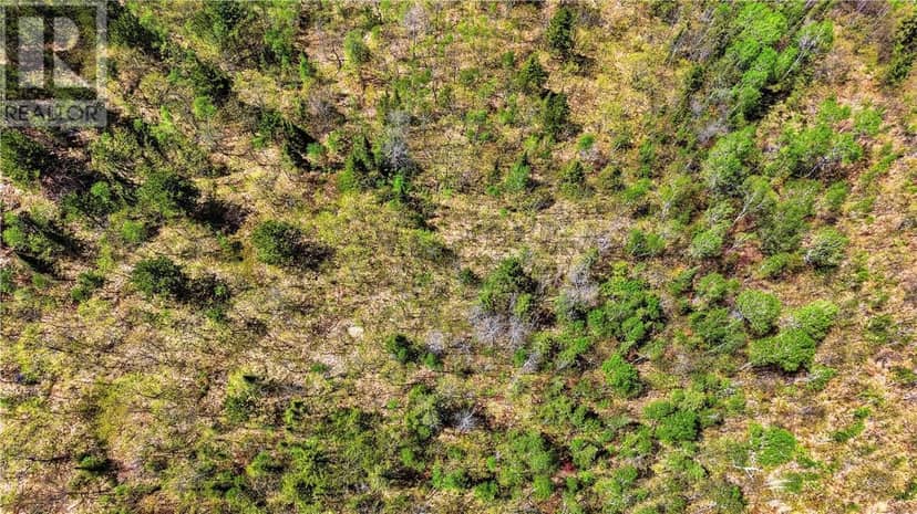 Lot 2 Makada Road — photo 6 of 8