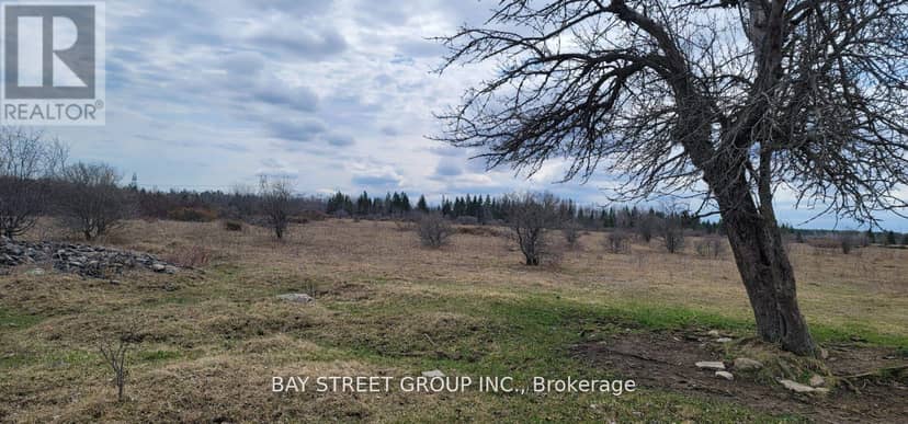 LT24 CON4 Elfon Road, Kawartha Lakes, photo 3