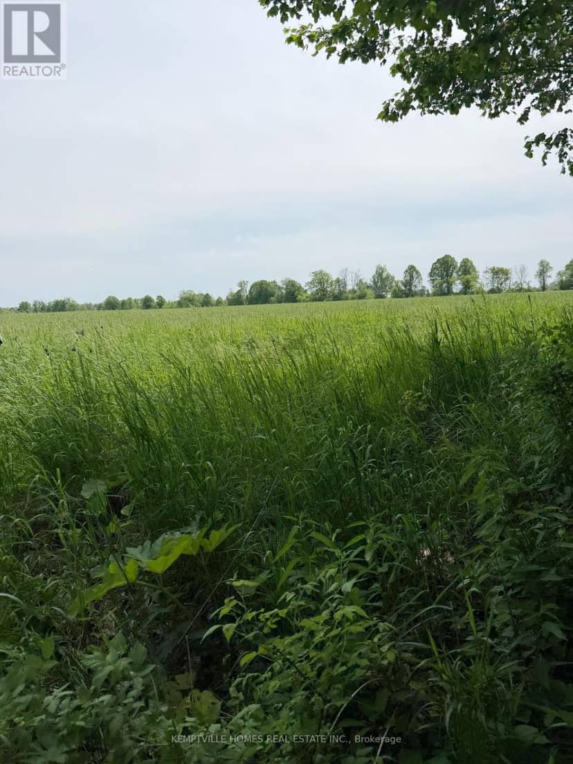 00 Richardson Road — photo 14 of 24