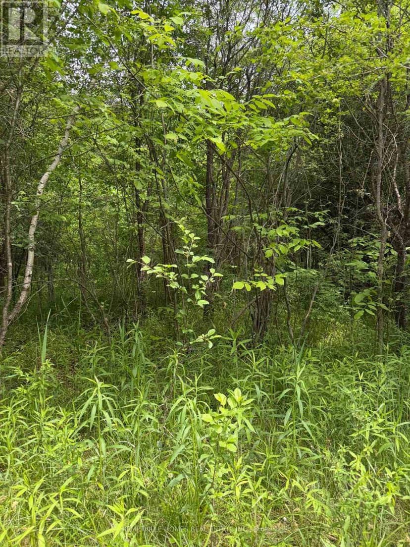 00 Richardson Road — photo 19 of 24