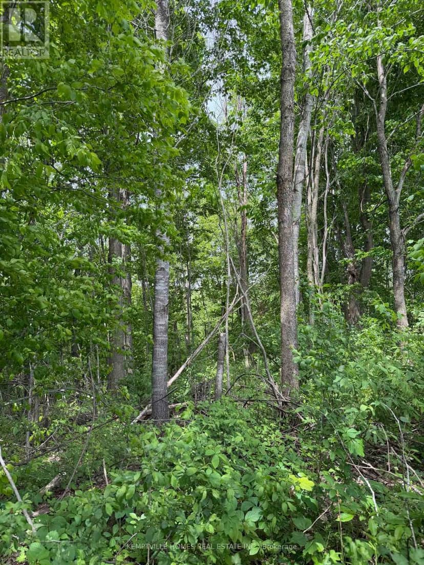 00 Richardson Road — photo 12 of 24