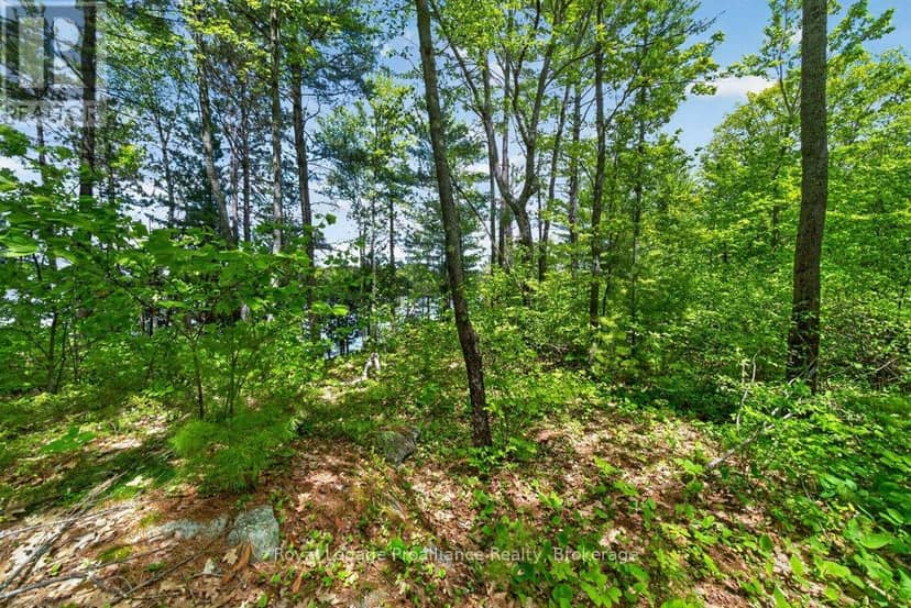 2485 Alf's Bay Lane — photo 29 of 33