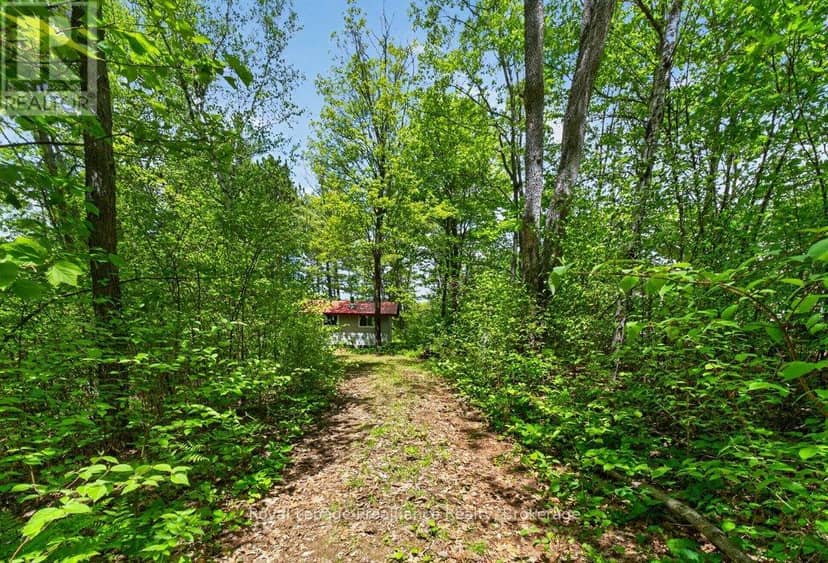 2485 Alf's Bay Lane — photo 4 of 33