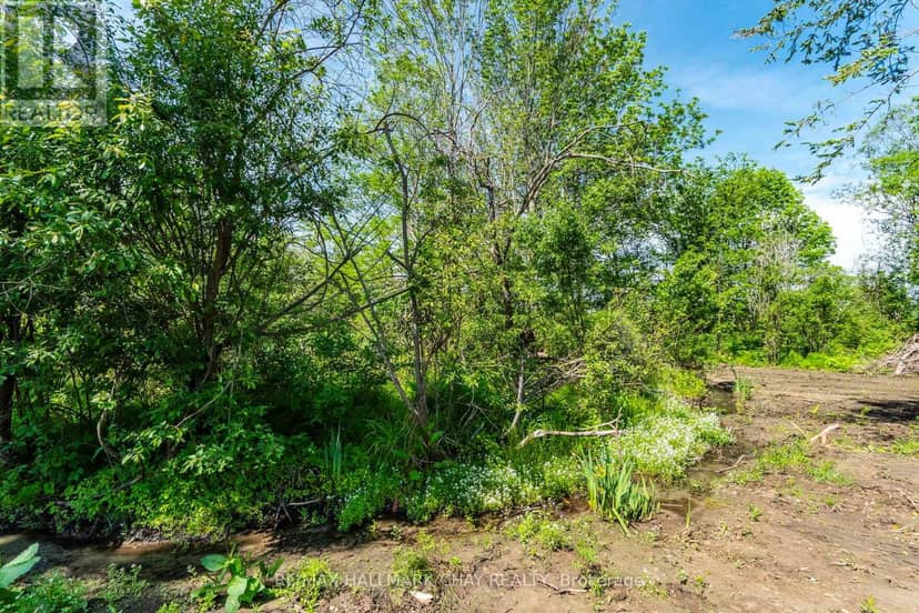 2322 North Orr Lake Road — photo 14 of 32