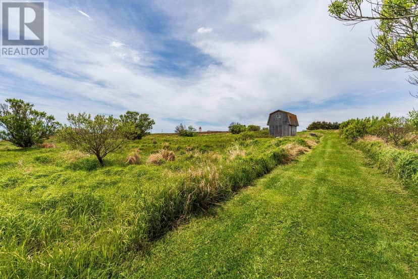 Lot Cape St. Mary's Road — photo 16 of 28