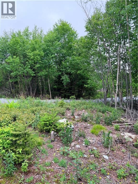 Meadow Cove Road — photo 7 of 15