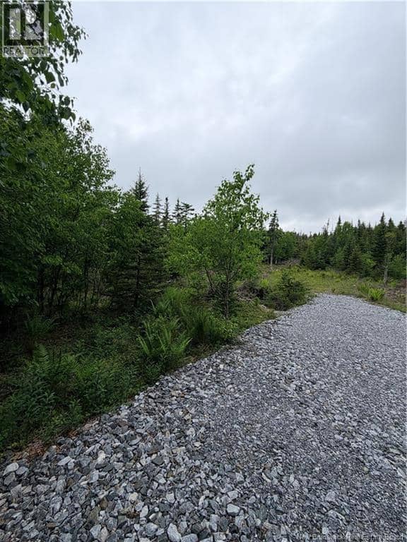 Meadow Cove Road — photo 3 of 15