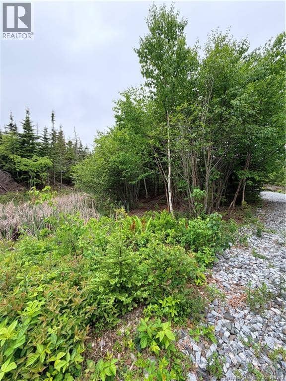 Meadow Cove Road — photo 6 of 15