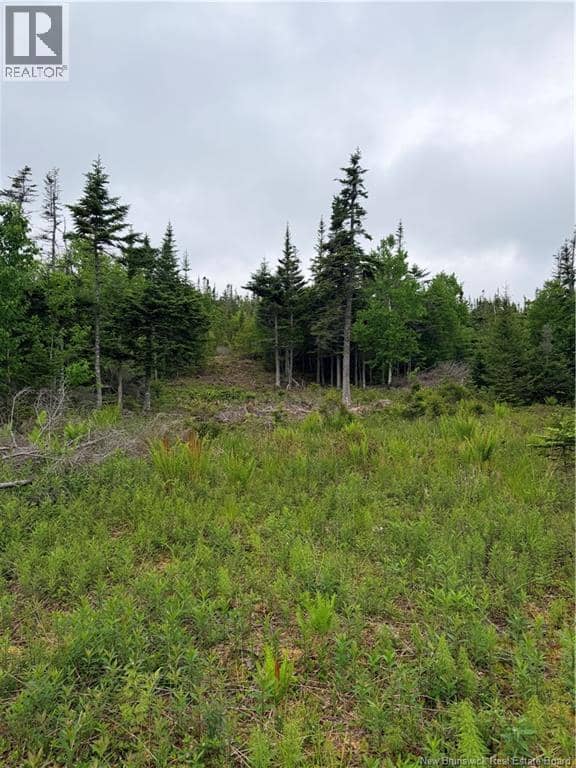 Meadow Cove Road — photo 9 of 15