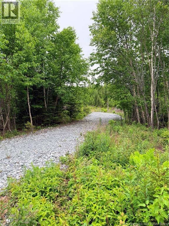 Meadow Cove Road — photo 1 of 15
