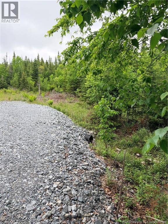 Meadow Cove Road — photo 4 of 15