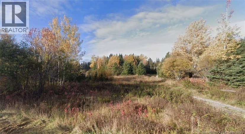Lot Laurenzo Huard Street — photo 2 of 3