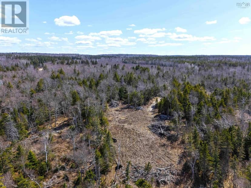 Lot 4 Old Baxter Mill Road — photo 10 of 31
