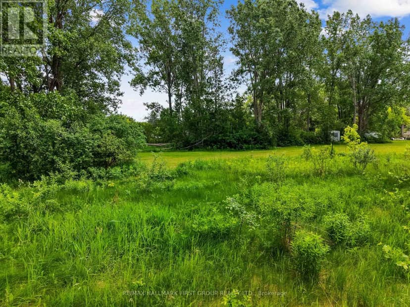 1 Earl Street, Cramahe, photo 7