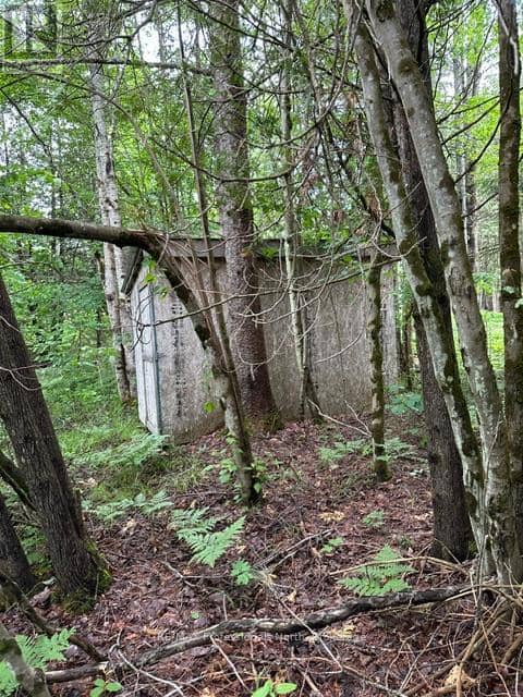 1164 Ravine Road — photo 19 of 22