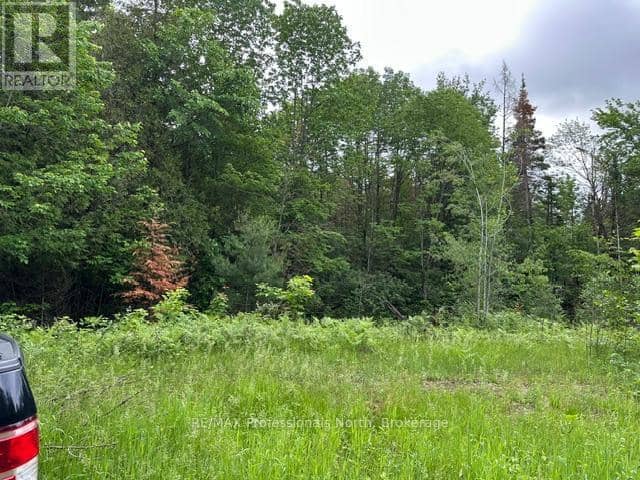 1164 Ravine Road — photo 7 of 22