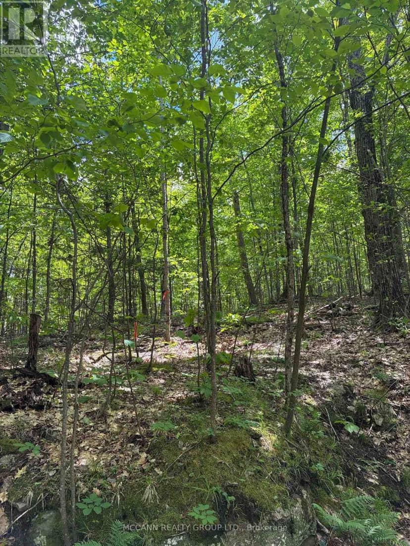 0 Starlight Road, Minden Hills, photo 5