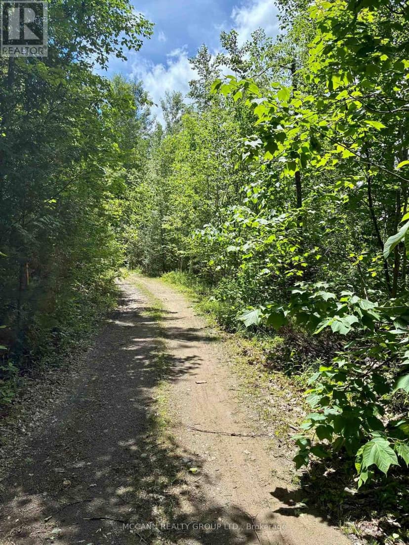 0 Starlight Road, Minden Hills, photo 8