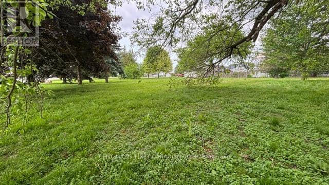 3877 Lasalle Line, Enniskillen, photo 5