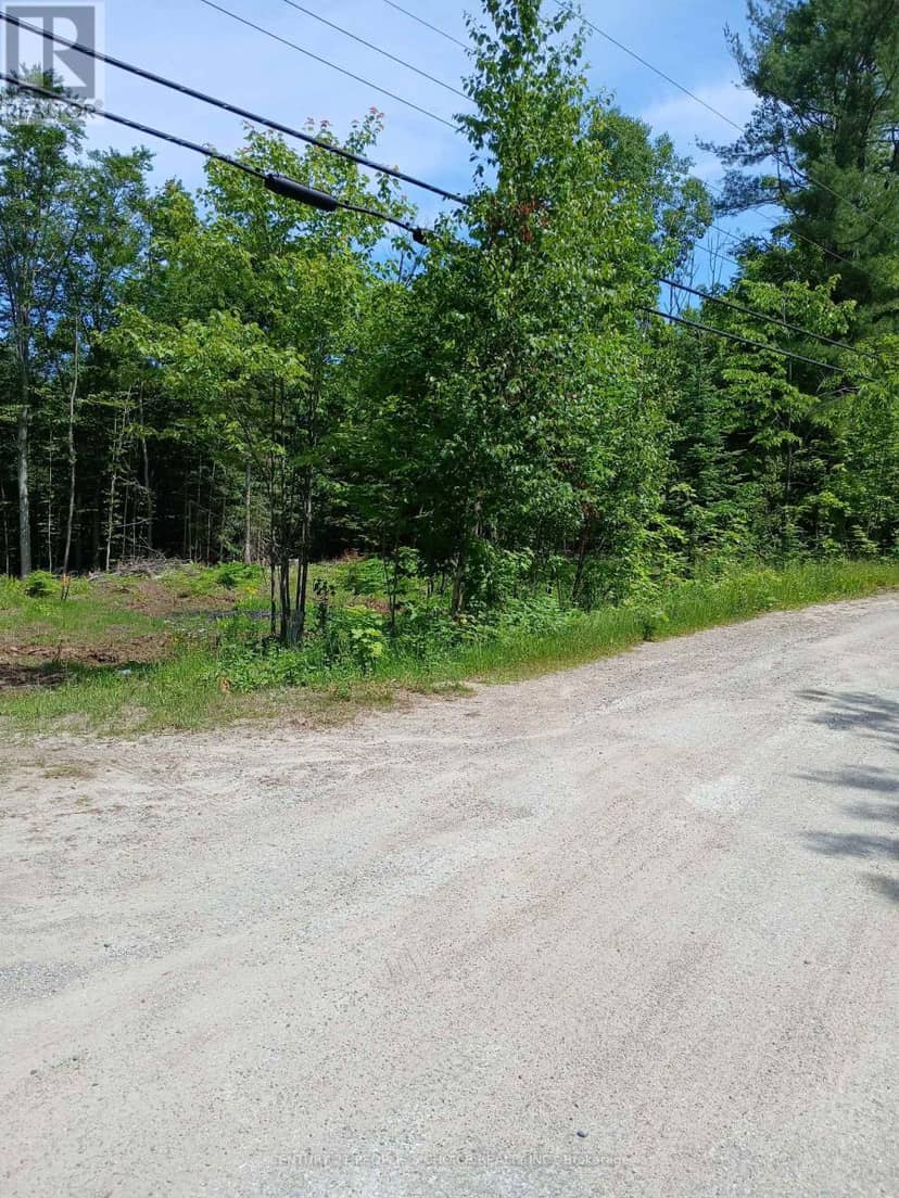 1005 Porkys Road, Minden Hills, photo 4