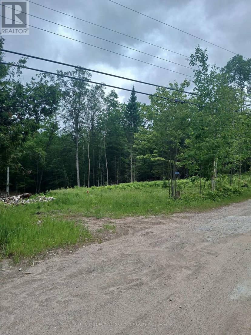 1005 Porkys Road, Minden Hills, photo 3