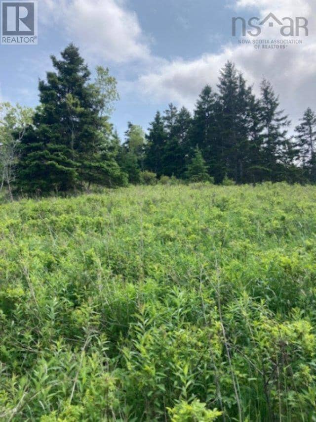 1 South Side River Bourgeois Road — photo 14 of 23