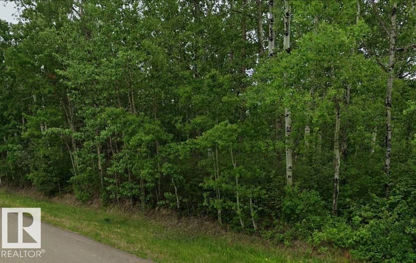 51025 RR 222, Rural Strathcona County, photo 2