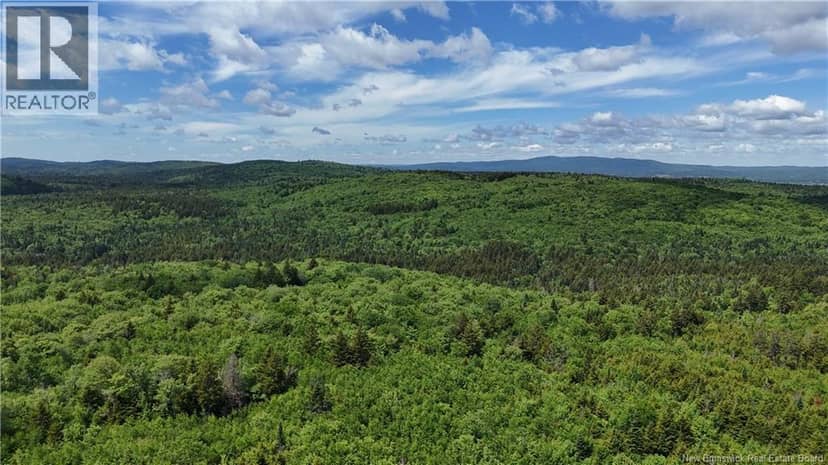 LOT Backland Road, Kingston, photo 7