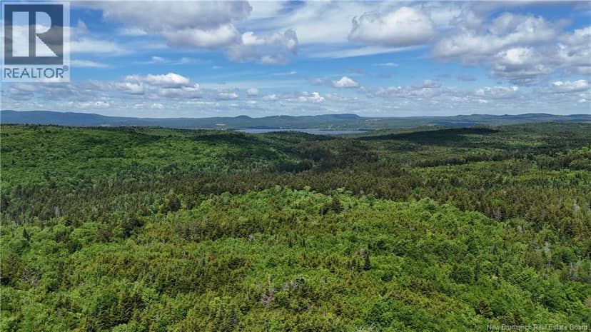 LOT Backland Road, Kingston, photo 6