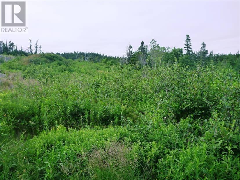 2-4 Snows Pond Road, North River, photo 6