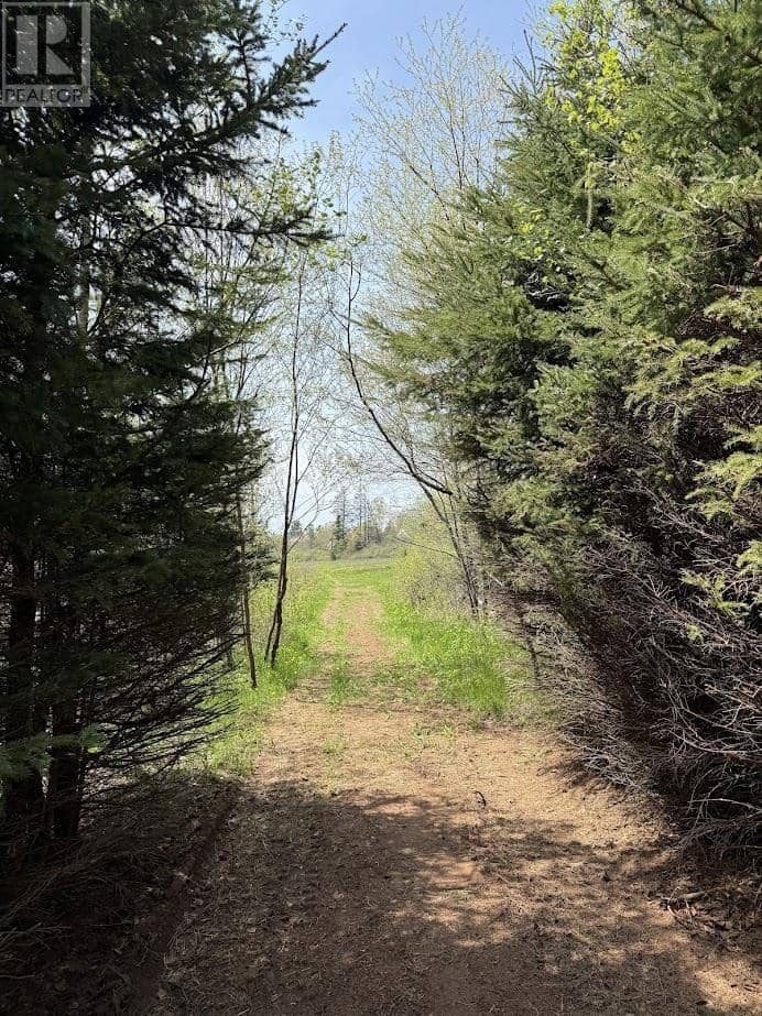 Lot 3 Oyster Bed Park Drive — photo 12 of 40