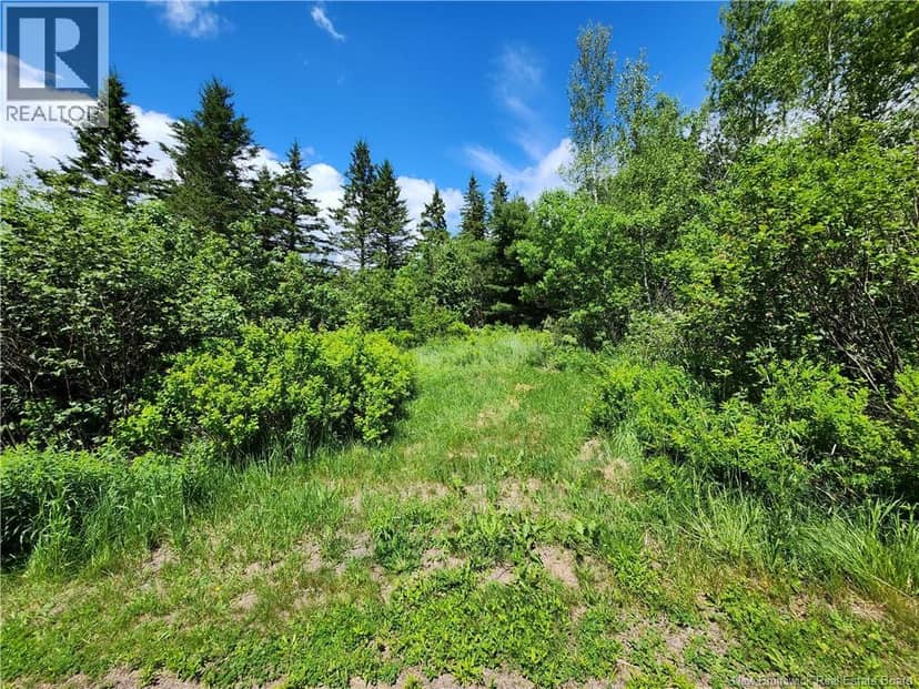 LOT Old Albert Mines, Edgetts Landing, photo 2