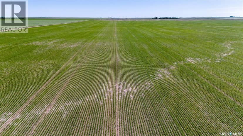 5 Quarters Grainland Near Palmer, SK (Solberg) — photo 6 of 17