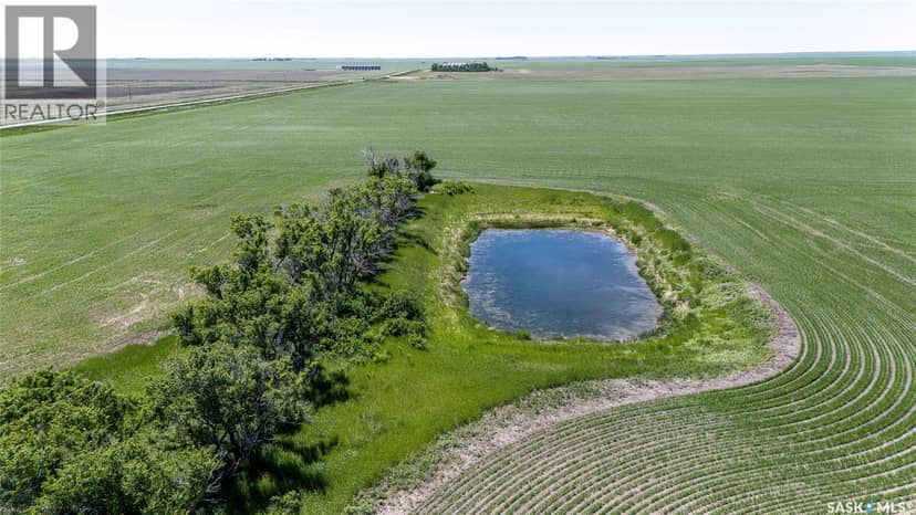 5 Quarters Grainland Near Palmer, SK (Solberg) — photo 13 of 17