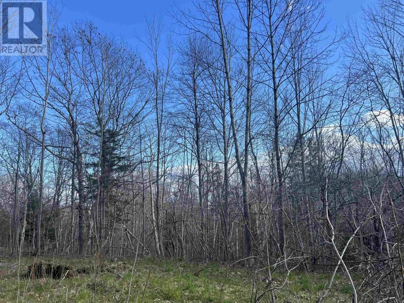 Lot 2-1-B Seaview Cemetary Road — photo 12 of 12