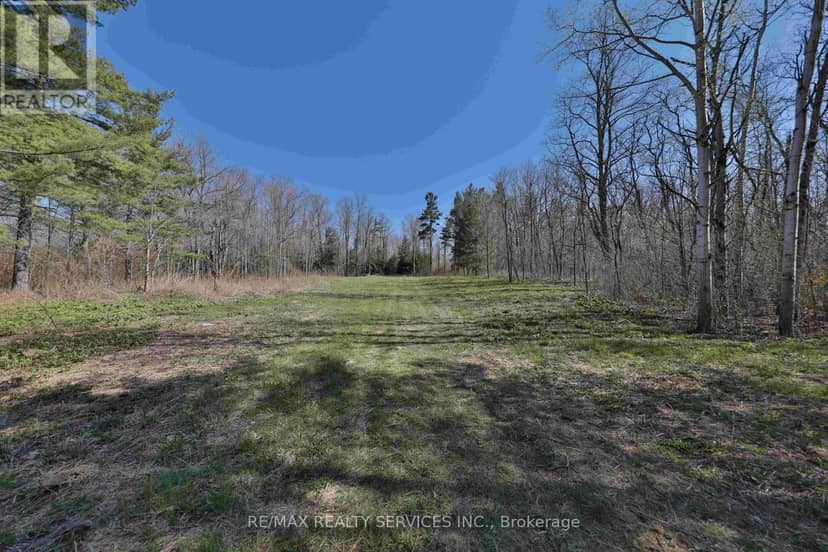 20 Side Road — photo 13 of 14