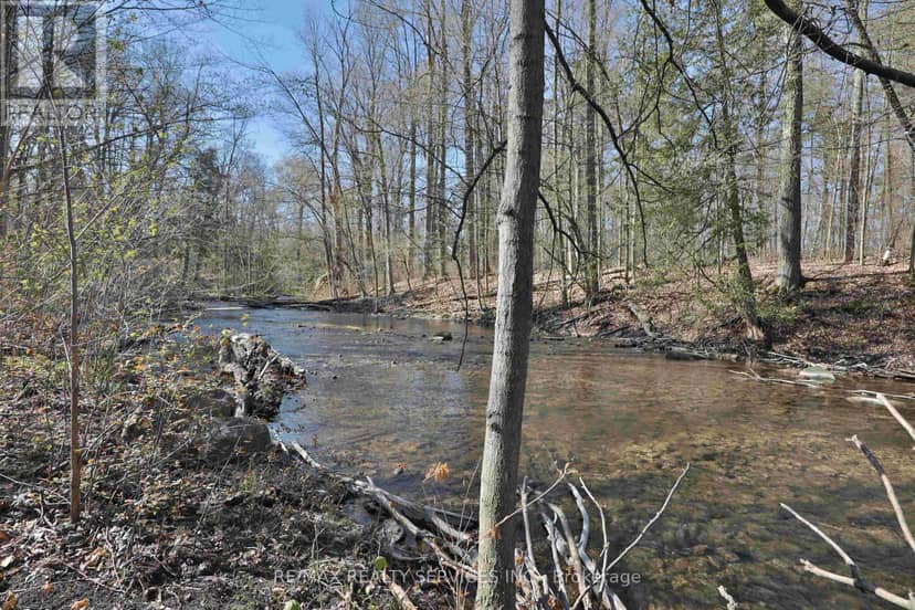 20 Side Road — photo 7 of 14