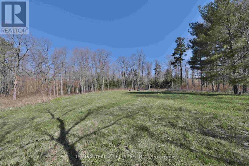 20 Side Road — photo 12 of 14