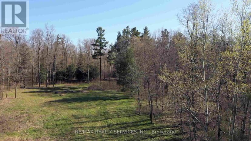 20 Side Road — photo 4 of 14