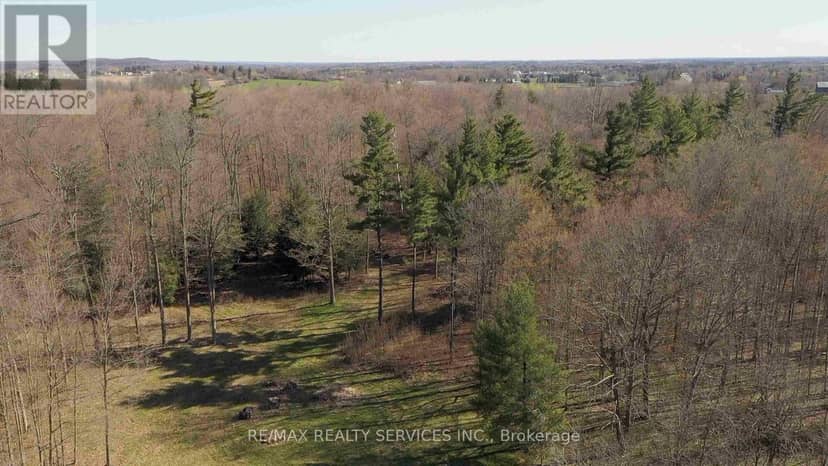 20 Side Road — photo 5 of 14