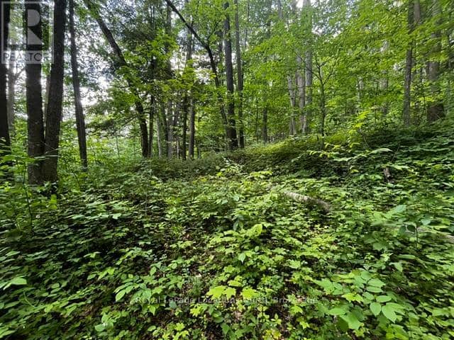 8840 9 County Road — photo 11 of 13
