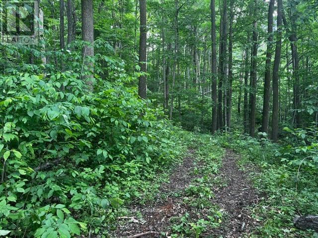 8840 9 County Road — photo 5 of 13