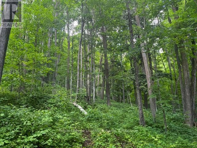8840 9 County Road — photo 6 of 13
