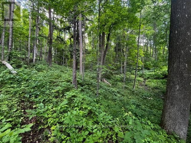 8840 9 County Road — photo 7 of 13